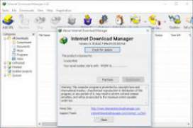Internet Download Manager IDM 6